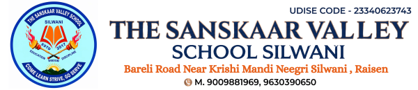 The Sanskaar Valley School, Silwani Logo